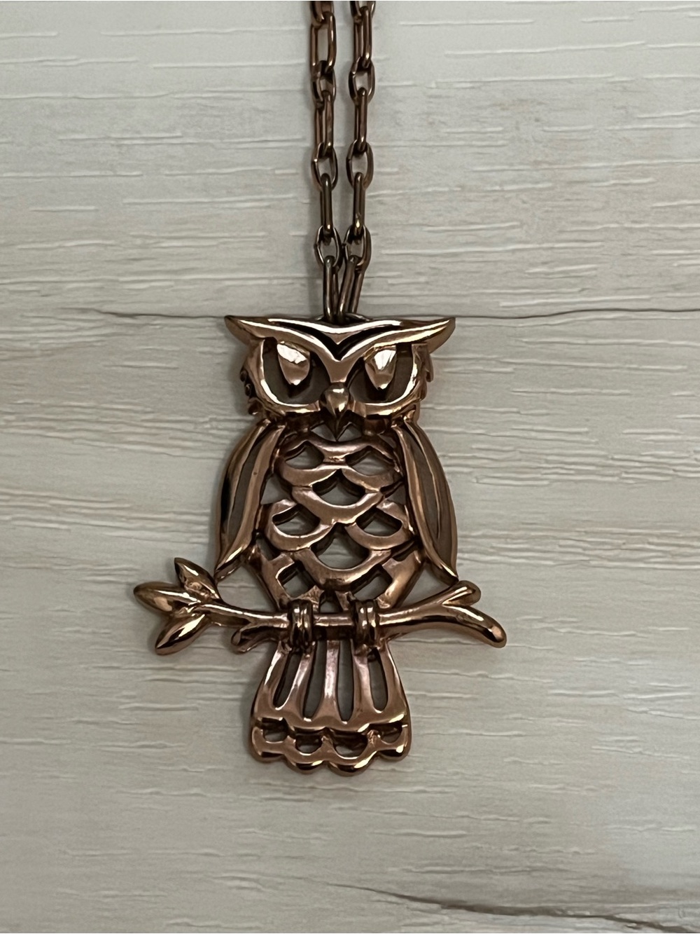VTG 1970s Copper Owl Pendant Necklace 23" Chain
